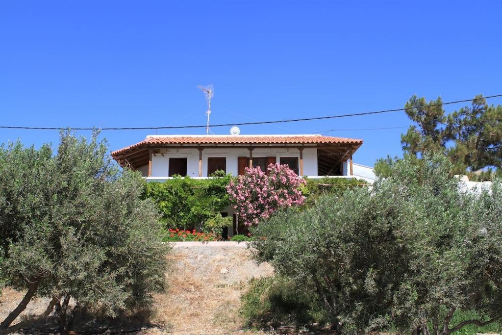 Traditional Olive House Макрі-Ялос Екстер'єр фото
